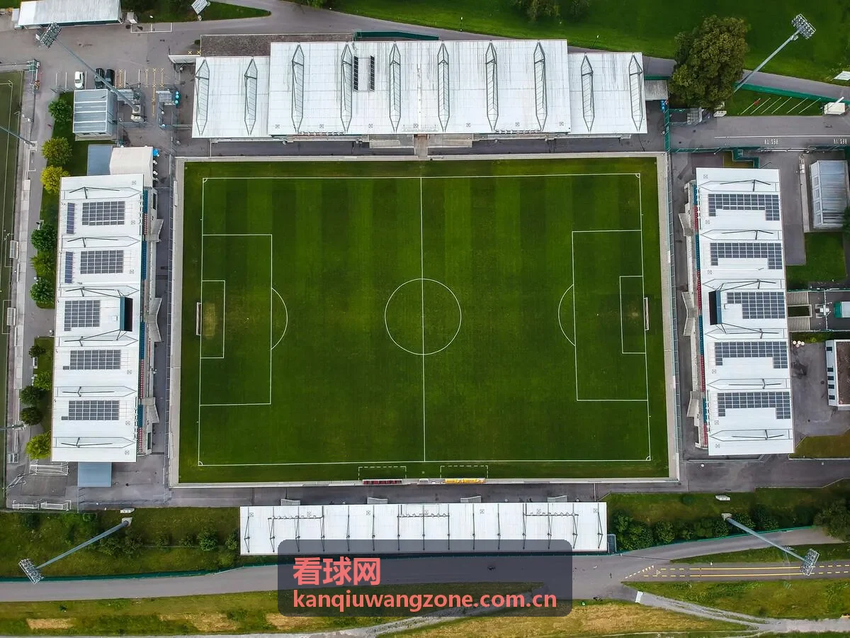 看球网棒球赛事入口